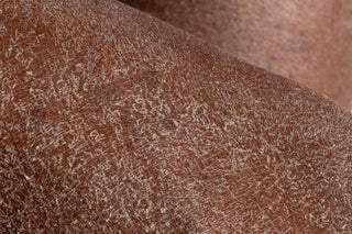The Science of Dry  Skin in Skin of Color